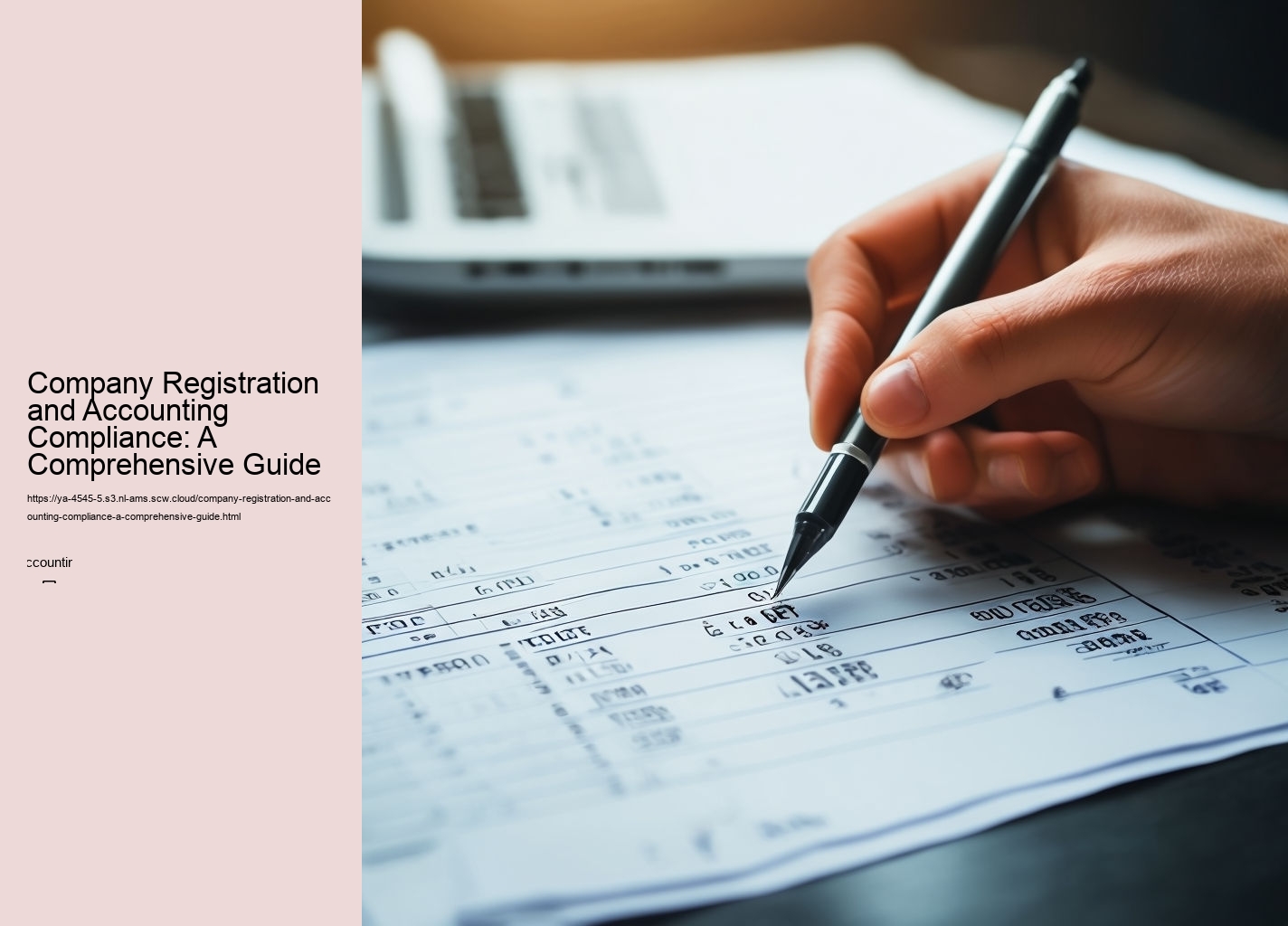 Company Registration and Accounting Compliance: A Comprehensive Guide